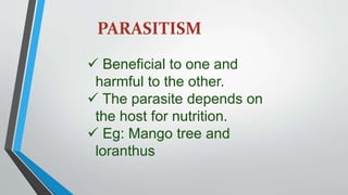 PARASITISM
 Beneficial to one and
harmful to the other.
 The parasite depends on
the host for nutrition.
 Eg: Mango tree and
loranthus
 