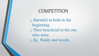 COMPETITION
o Harmful to both in the
beginning.
o Then beneficial to the one
who wins.
o Eg: Paddy and weeds
 