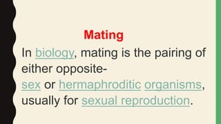 Mating Example Ecological interactions chapter 3 class 11th | PPTX