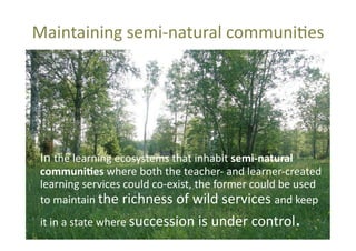 Maintaining	
  semi-­‐natural	
  communi@es	
  

	
  In	
  the	
  learning	
  ecosystems	
  that	
  inhabit	
  semi-­‐natural	
  

communi+es	
  where	
  both	
  the	
  teacher-­‐	
  and	
  learner-­‐created	
  
learning	
  services	
  could	
  co-­‐exist,	
  the	
  former	
  could	
  be	
  used	
  
to	
  maintain	
  the	
  richness	
  of	
  wild	
  services	
  and	
  keep	
  
it	
  in	
  a	
  state	
  where	
  succession	
  is	
  under	
  control

.	
  

 