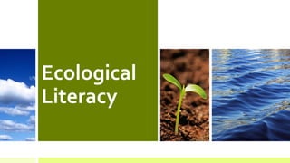 Ecological
Literacy
 