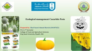 Prepared by: Hael Saeed Ahmed Raweh (436107622)
Ph.D. 2nd Semester
College of Food and Agriculture Sciences
King Saud University, Riyadh, KSA
Ecological management Cucurbits Pests
 