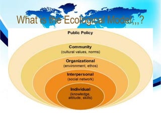 What is the Ecological Model,,,? 
 
 