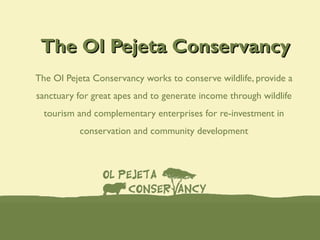 The Ol Pejeta Conservancy
The Ol Pejeta Conservancy works to conserve wildlife, provide a
sanctuary for great apes and to generate income through wildlife
  tourism and complementary enterprises for re-investment in
          conservation and community development
 