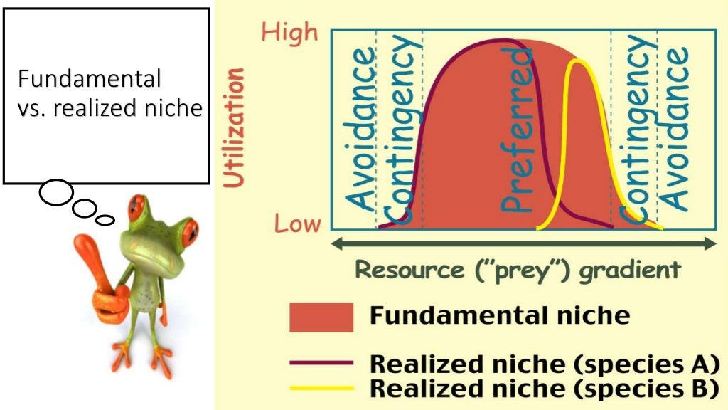 Ecological niche