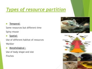 Temporal Resource Partitioning