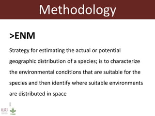 Using ecological niche modelling for mapping the risk of Rift Valley fever in Kenya