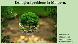Ecological problems in Moldova.
Presentation
of the student
from 12th grade
Kilibovich Nastea.
 