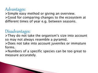 Advantages:
Simple easy method or giving an overview.
Good for comparing changes to the ecosystem at
different times of year e.g. between seasons.
Disadvantages:
They do not take the organism’s size into account
so may not always resemble a pyramid.
Does not take into account juveniles or immature
forms.
Numbers of a specific species can be too great to
measure accurately.
 