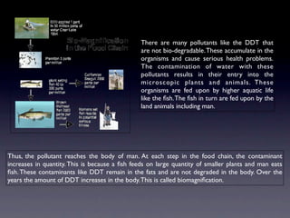 There are many pollutants like the DDT that
                                                are not bio-degradable. These accumulate in the
                                                organisms and cause serious health problems.
                                                The contamination of water with these
                                                pollutants results in their entry into the
                                                microscopic plants and animals. These
                                                organisms are fed upon by higher aquatic life
                                                like the ﬁsh. The ﬁsh in turn are fed upon by the
                                                land animals including man.




Thus, the pollutant reaches the body of man. At each step in the food chain, the contaminant
increases in quantity. This is because a ﬁsh feeds on large quantity of smaller plants and man eats
ﬁsh. These contaminants like DDT remain in the fats and are not degraded in the body. Over the
years the amount of DDT increases in the body. This is called biomagniﬁcation.
 