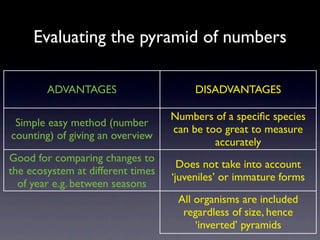 Evaluating the pyramid of numbers

        ADVANTAGES                      DISADVANTAGES

                                   Numbers of a speciﬁc species
 Simple easy method (number
                                   can be too great to measure
counting) of giving an overview
                                            accurately
Good for comparing changes to
                                     Does not take into account
the ecosystem at different times
                                   ‘juveniles’ or immature forms
  of year e.g. between seasons
                                    All organisms are included
                                     regardless of size, hence
                                        ‘inverted’ pyramids
 