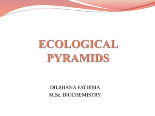 DILSHANA FATHIMA
M.Sc. BIOCHEMISTRY
 