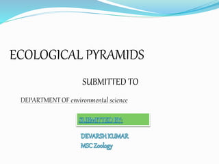 ECOLOGICAL PYRAMIDS
SUBMITTED TO
 