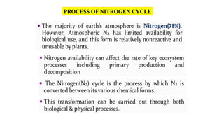 PROCESS OF NITROGEN CYCLE
 