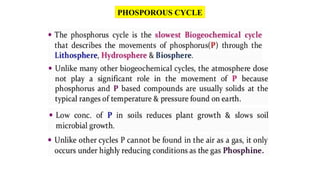 PHOSPOROUS CYCLE
 