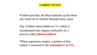 •Carbon just like all other nutrients cycles from
one reservoir to another through many years.
•Eg: Carbon enters plants as CO2 which is
incorporated into organic molecules by a
process called photosynthesis
•When organisms respire, a portion of this
carbon is returned to the atmosphere as CO2
CARBON CYCLES
 