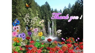 ECOLOGICAL PYRAMIDS from Environmental Science