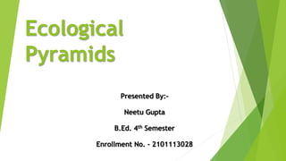 Ecological
Pyramids
Presented By:-
Neetu Gupta
B.Ed. 4th Semester
Enrollment No. - 2101113028
 