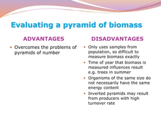 Evaluating a pyramid of biomass
ADVANTAGES DISADVANTAGES
 Overcomes the problems of
pyramids of number
 Only uses samples from
population, so difficult to
measure biomass exactly
 Time of year that biomass is
measured influences result
e.g. trees in summer
 Organisms of the same size do
not necessarily have the same
energy content
 Inverted pyramids may result
from producers with high
turnover rate
 