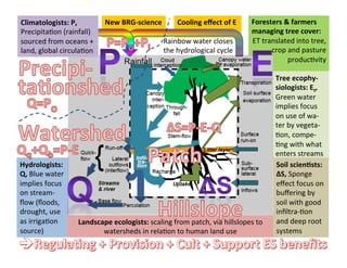 Ecological rainfall infrastructure: investment in trees for sustainable development