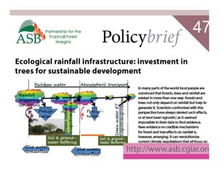 Ecological rainfall infrastructure: investment in trees for sustainable development