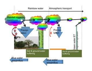 Ecological rainfall infrastructure: investment in trees for sustainable development