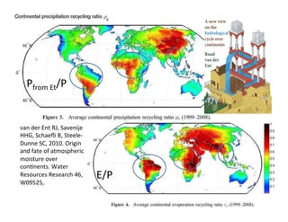 Ecological rainfall infrastructure: investment in trees for sustainable development