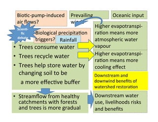 Ecological rainfall infrastructure: investment in trees for sustainable development