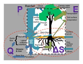 Ecological rainfall infrastructure: investment in trees for sustainable development