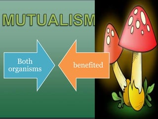 Both
organisms
benefited
 
