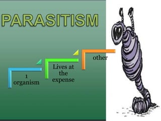 1
organism
Lives at
the
expense
other
 