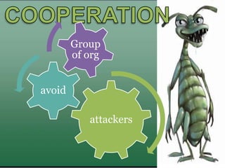 attackers
avoid
Group
of org
 