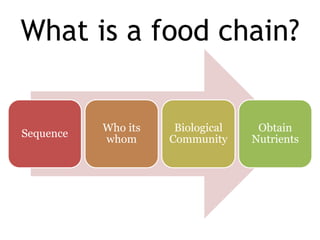 What is a food chain?
Sequence
Who its
whom
Biological
Community
Obtain
Nutrients
 