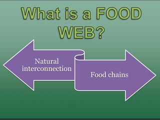 Natural
interconnection
Food chains
 
