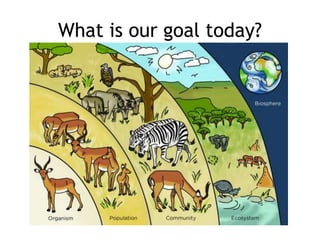 What is our goal today?
 