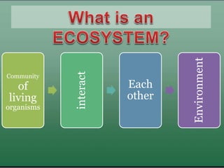 Community
of
living
organisms
interact Each
other
Environment
 