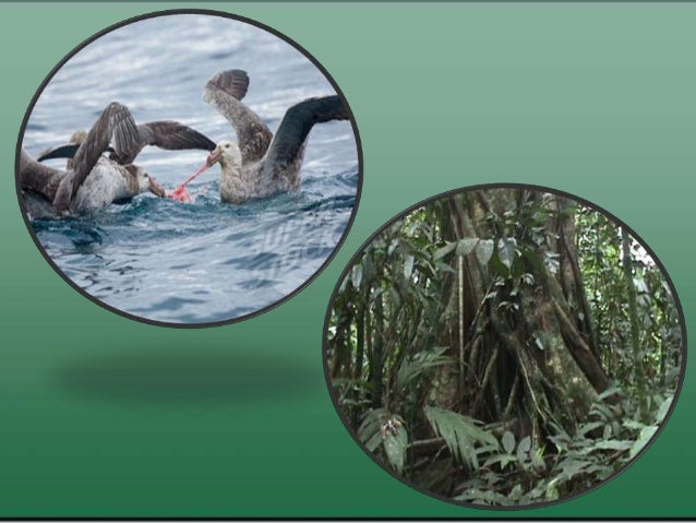 Ecological Relationships Pogil Answers Key Quizlet / fire season nearly ...