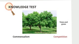 KNOWLEDGE TEST
Commensalism Competition
Competition
Trees and
grass
 