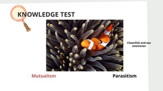 KNOWLEDGE TEST
Mutualism Parasitism
Mutualism
Clownfish and sea
anemones
 