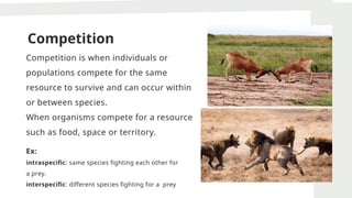 Competition
Competition is when individuals or
populations compete for the same
resource to survive and can occur within
or between species.
When organisms compete for a resource
such as food, space or territory.
Ex:
intraspecific: same species fighting each other for
a prey.
interspecific: different species fighting for a prey
 