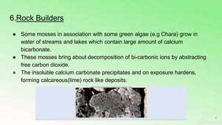 Ecological Significance of BRYOPHYTE.pptx