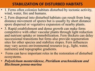 STABILIZATION OF DISTURBED HABITATS
• 1. Ferns often colonize habitats disturbed by tectonic activity,
wind, water, fire and humans.
• 2. Fern dispersal into disturbed habitats can result from long
distance movement of spores but is usually by short distance
spore dispersal or vegetative expansion of nearby plants.
• 3. Rapid establishment and dense growth can make ferns
competitive with other vascular plants through light reduction
and nutrient uptake or immobilization. Fern thickets can delay
successional transitions but ferns also provide regeneration
sites for other species and stabilize slopes. Fern influences
may vary across environmental resource (e.g., light, water,
nutrients) and topographic gradients.
• Ferns can have important roles in the restoration of disturbed
ecosystems.
• Polystichum montevidense, Pteridium arachnoideum and
Blechnum penna-marina
 