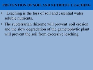 PREVENTION OF SOILAND NUTRIENT LEACHING
• Leaching is the loss of soil and essential water
soluble nutrients.
• The subterrarian rhizome will prevent soil erosion
and the slow degradation of the gametophytic plant
will prevent the soil from excessive leaching
 