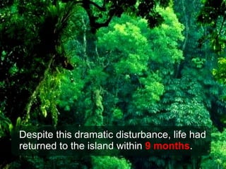 Despite this dramatic disturbance, life had returned to the island within  9 months . 