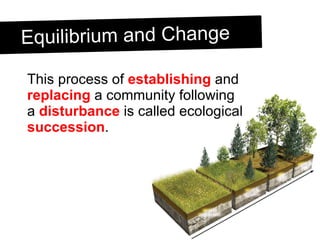 Equilibrium and Change This process of  establishing  and  replacing  a community following a  disturbance  is called ecological  succession . 