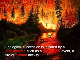 Ecological succession is initiated by a  disturbance  such as a  geological  event, a fire or  human  activity. 