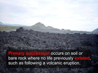 Primary succession  occurs on soil or bare rock where no life previously  existed , such as following a volcanic eruption. 