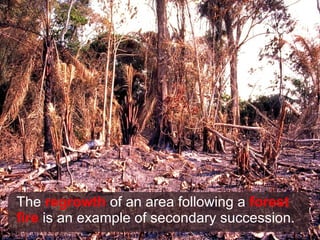The  regrowth  of an area following a  forest fire  is an example of secondary succession. 