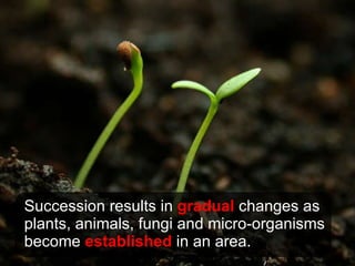 Succession results in  gradual  changes as plants, animals, fungi and micro-organisms become  established  in an area. 