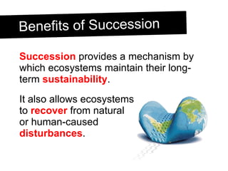 Benefits of Succession Succession  provides a mechanism by which ecosystems maintain their long-term  sustainability . It also allows ecosystems to  recover  from natural  or human-caused  disturbances .  